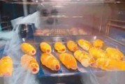 娱乐圈吃瓜食品,揭秘明星们的“吃瓜”生活
