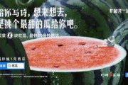 娱乐圈文案吃瓜